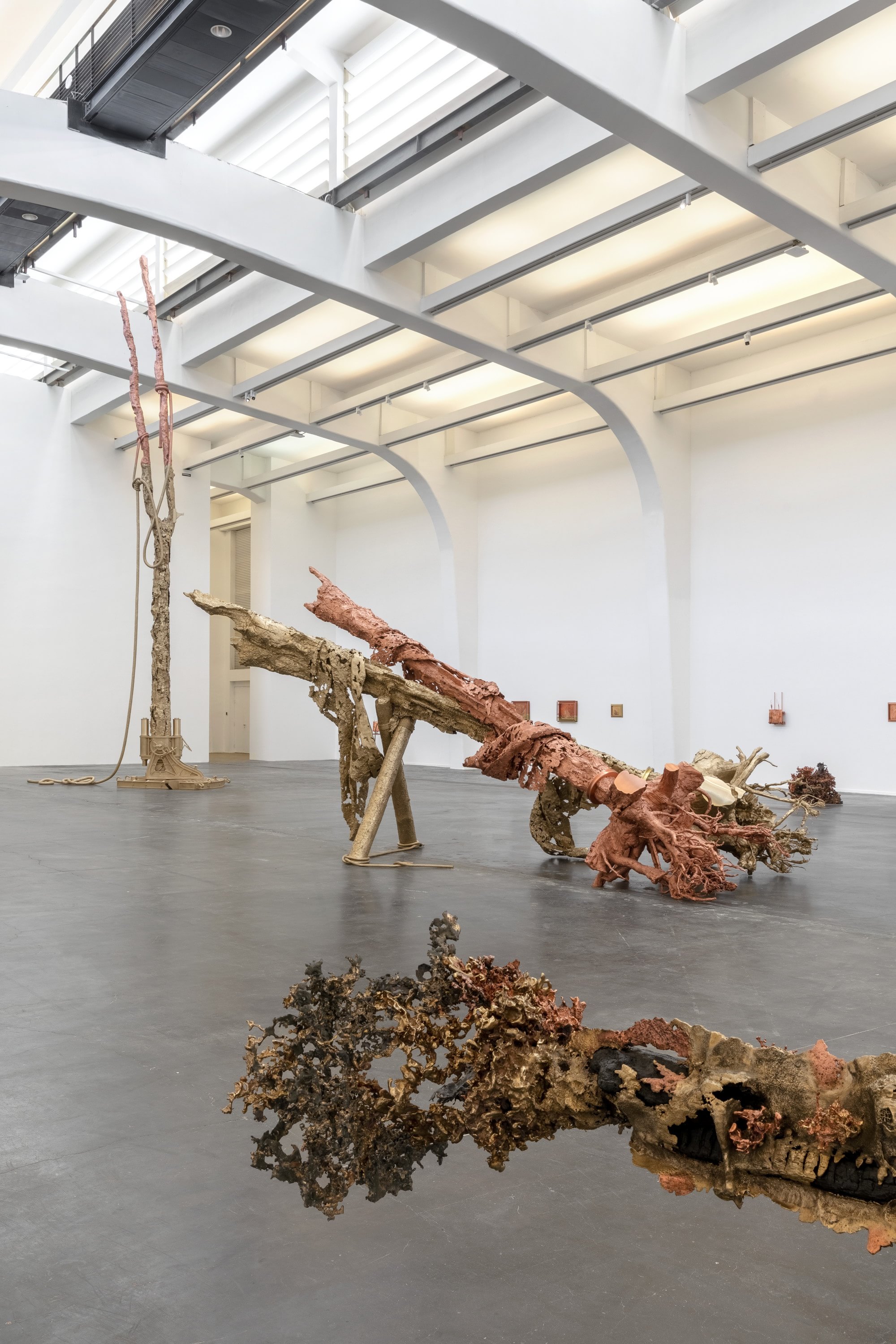 马修·巴尼:堡垒